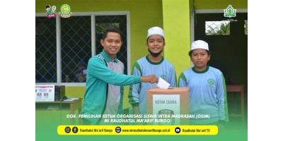 ORGANISASI SISWA